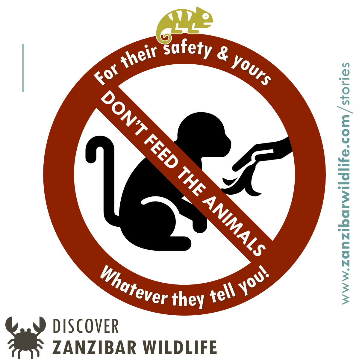 How to feed wildlife naturally How to feed wildlife Zanzibar Wildlife