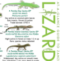 Guide to Zanzibar Lizards